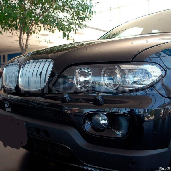 Стекла фар BMW X5 E53 (2004 - 2006)